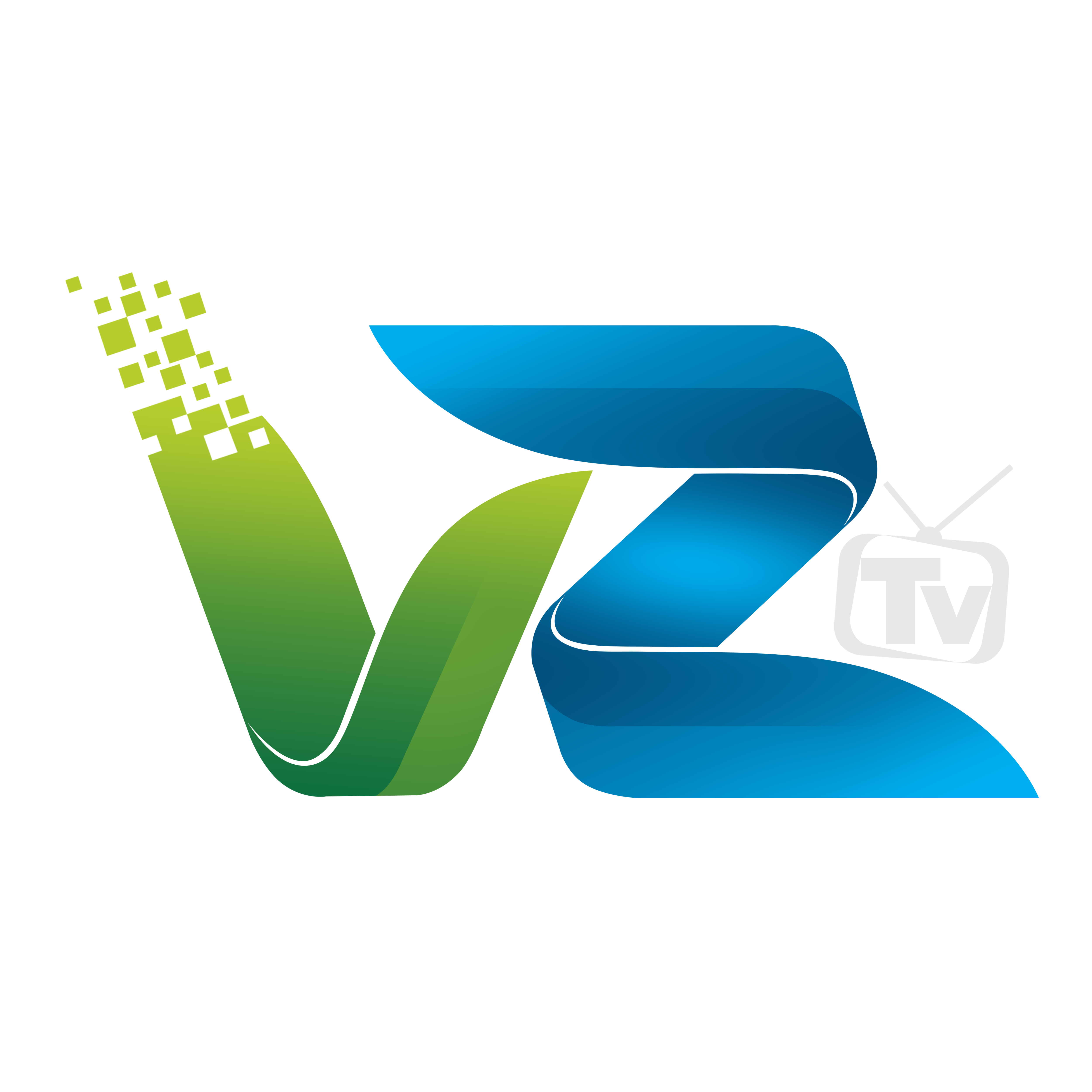 VZ Televisión